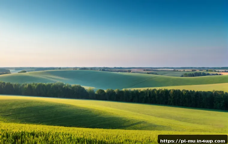 Greenwashing a zaufanie klientów: jak rozpoznać ryzyko i wybrać wiarygodną markę 4 그린워싱이 소비자 신뢰에 미치는 영향 관련 이미지 2
