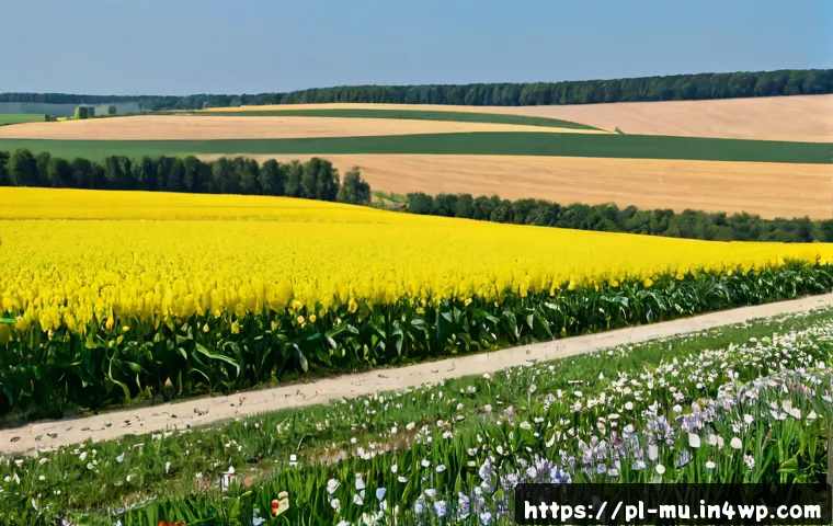 Jak badać greenwashing: metodologia, kryteria dowodów i wybór narzędzi analitycznych 4 그린워싱 비판을 위한 연구 방법론 관련 이미지 2